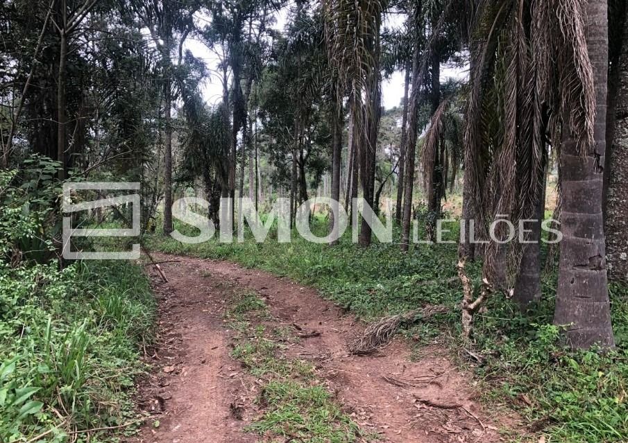 Lote 002 - imóvel rural