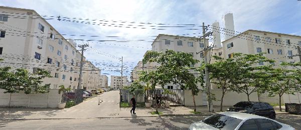 Jardim hibisco