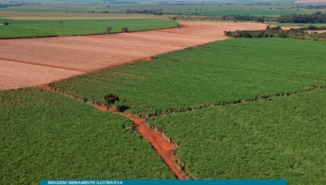 Imóvel Rural 59 ha (Estância Palmital) - Guaíra - SP