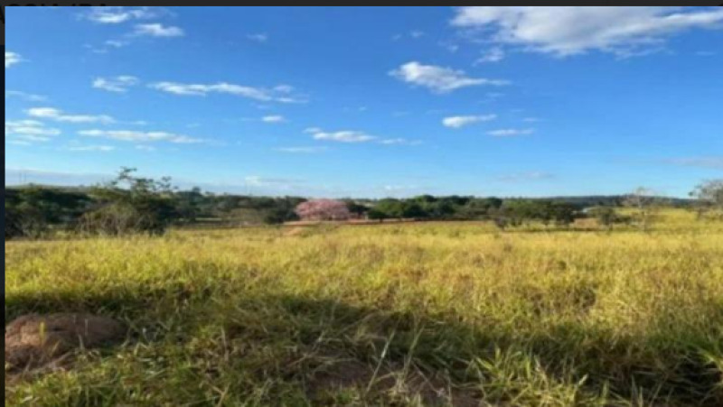 FAZENDA IRAPUÃ, COM ÁREA DE 1.876,00 HECTARES, SITUADA NO LUGAR TABOCAL, SANTA RITA DE CASSIA/BA. - Lote 22372 (ID 3791)