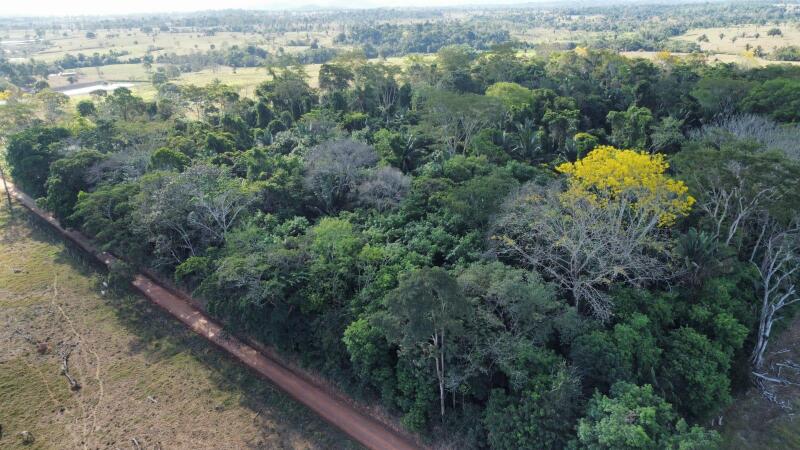 IMÓVEL RURAL COM 53,3362ha EM OURO PRETO DO OESTE/RO