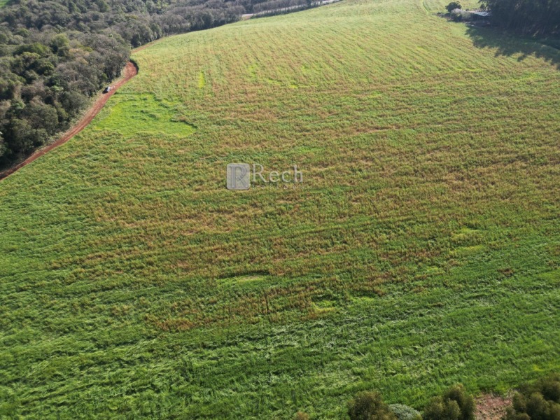 Parte de terras de cultura, com a área de 193.254,12m²