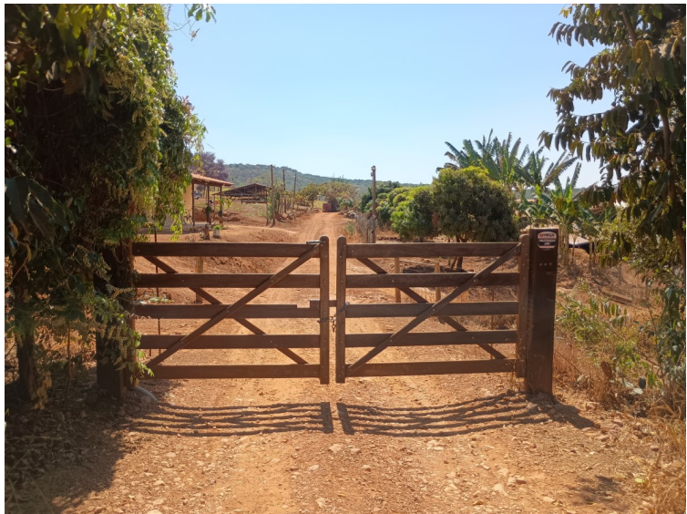 Lote 1