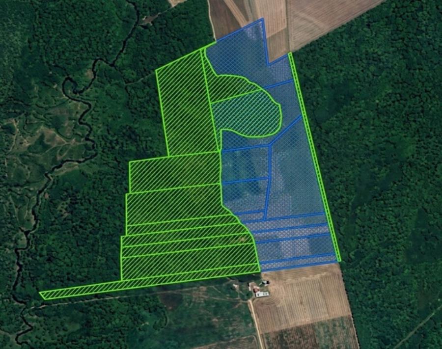Fazendas elo verde e esmeralda - fazenda elo verde com 2.200 ha