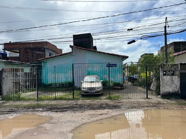 Paulista - pau amarelo