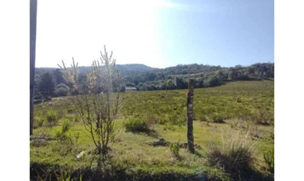 Terrenos em Leilão em Campo Largo / PR - 3072684
