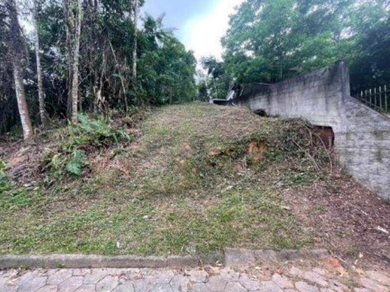 Lote, misto, escola agrícola