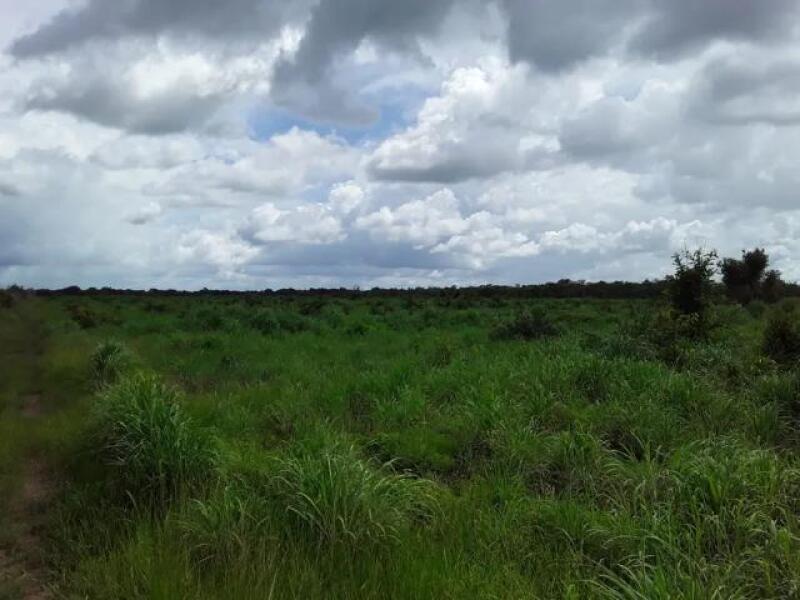 Leilão do Juízo da 2ª Vara Cível de Araguaína - Lote 001 (ID 3764)