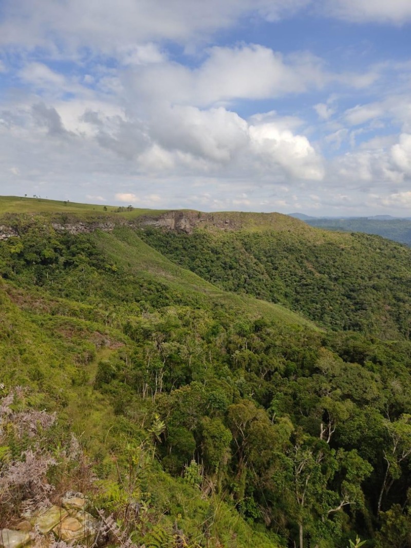 Leilão Empresarial - Lote 001 (ID 14660)