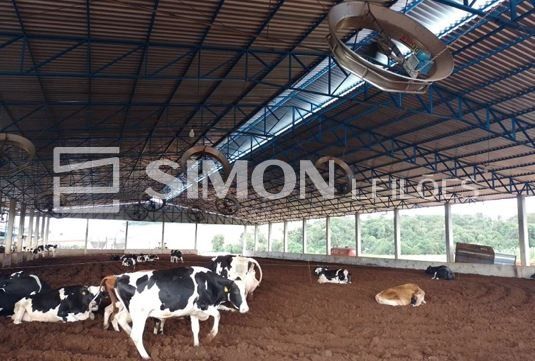 Lote 001 - imóvel rural