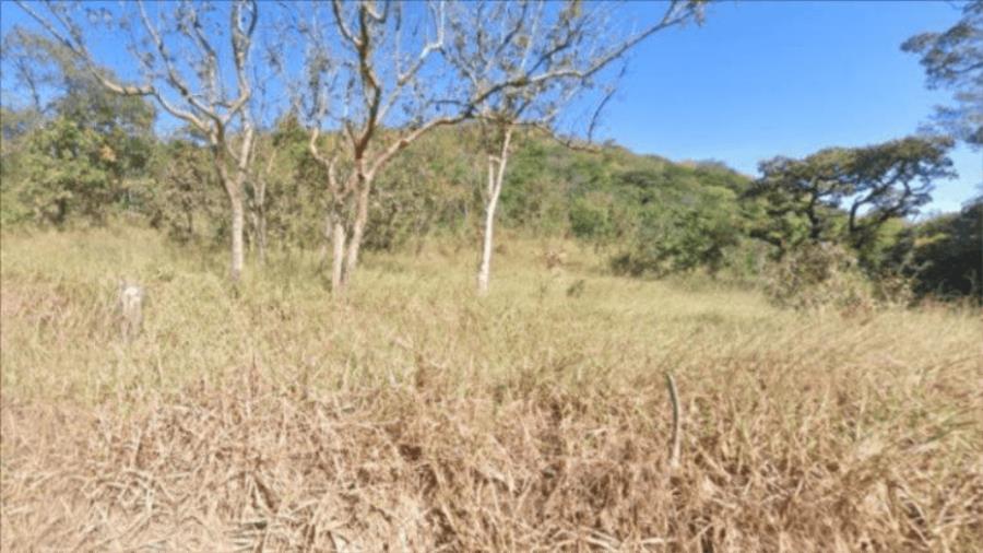 DELFINÓPOLIS/MG-Terreno Rural com 38 ha,no local denominado "Fazenda Velha"