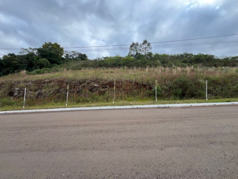 Leilão Empresarial - Lote 001 (ID 14667)
