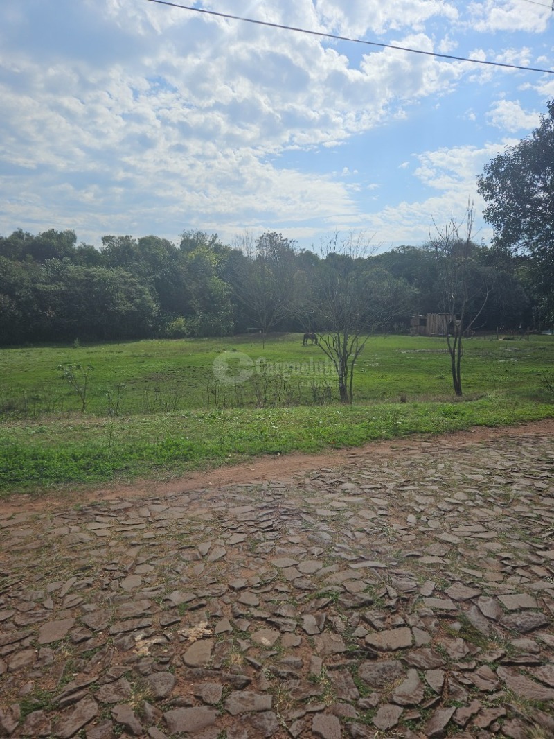 Cargnelutti Leilões | PREFEITURA DE CRUZ ALTA - Lote 028 (ID 43789)