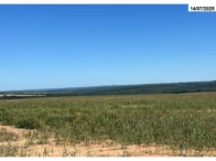 Fazenda c/ 1.081,40 ha - Buriticupu/MA