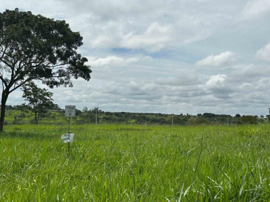 Chácara 22, Quadra 07, localizada na Rua G, no Chacreamento Espelho D’Água, em Abaeté/MG, com área total de 1.000,00 m², matrícula nº 29.160 do CRI de Abaeté/MG.