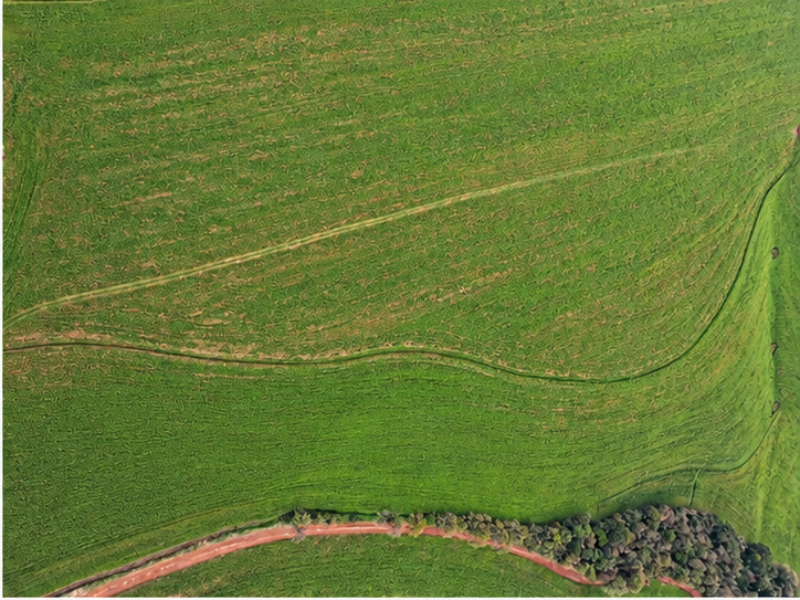 Matrícula nº 18.387, com área superficial de 193.254,12 m²