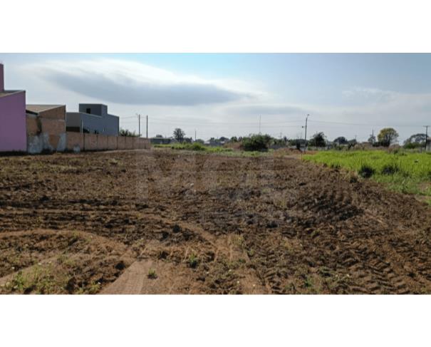 Cerejeiras/ro - terreno urbano com 330,00 m² no setor industrial 06 lote em leilão | mgl leilões