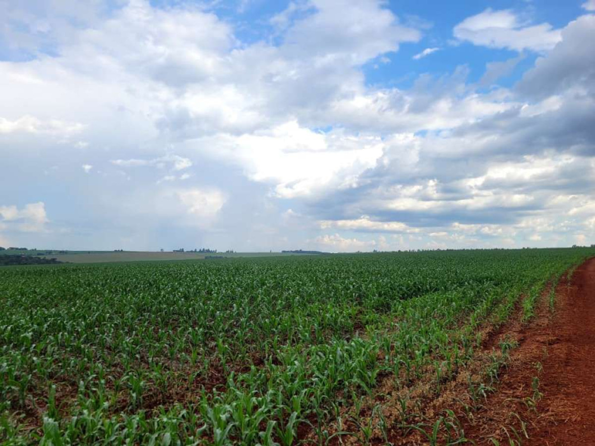 Imóvel rural - área de 6.725.615,00m² - fazenda piquiri - cascavel/pr