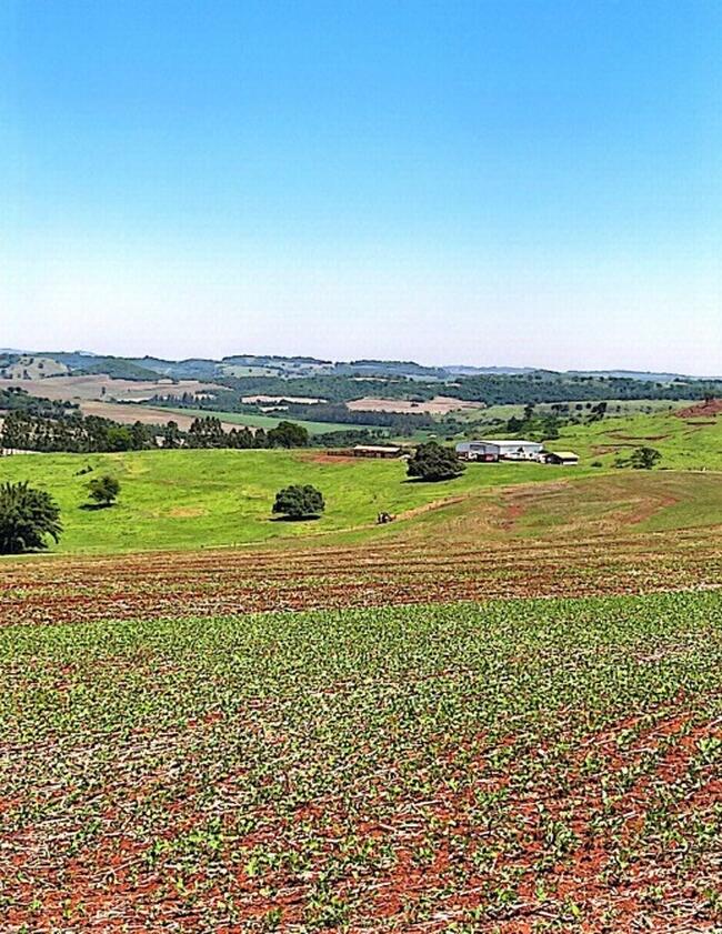 5ª vara do trabalho de maringá
