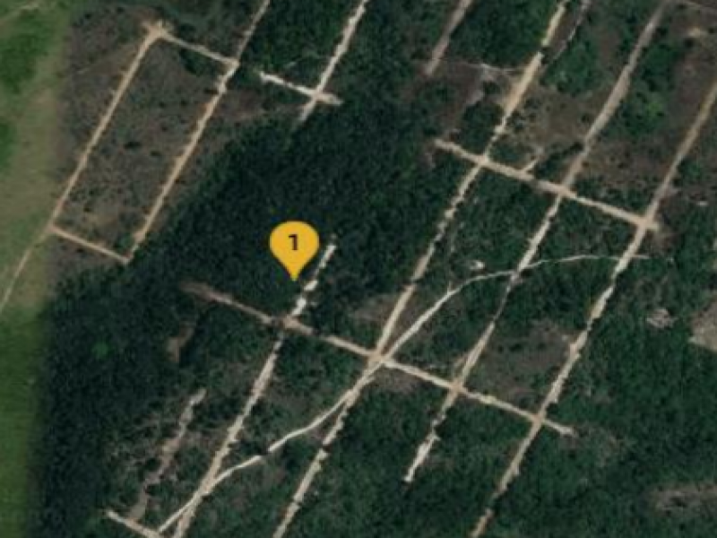 Lote, residencial, parque das margaridas