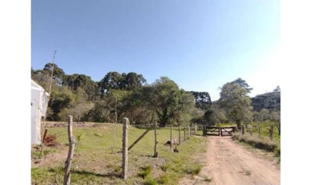 Terrenos em Leilão em Campo Largo / PR - 3072682