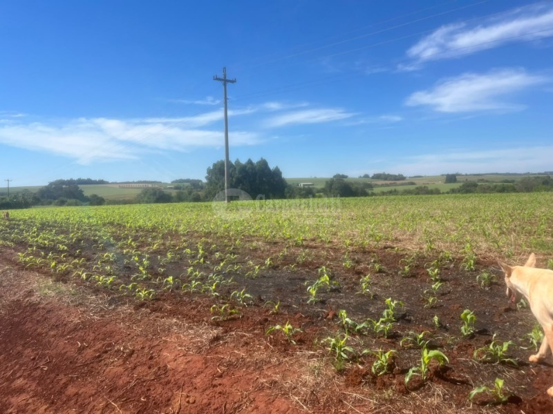 Cargnelutti Leilões | LEILÃO JUDICIAL - TUPANCIRETÃ/RS - Lote 001-1 (ID 43960)