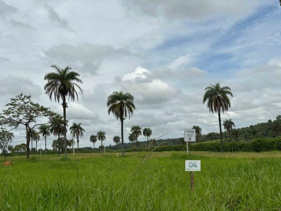 Chácara 04, Quadra 06, localizada na Rua F, no Chacreamento Espelho D’Água, em Abaeté/MG, com área total de 1.000,00 m², matrícula nº 29.108 do CRI de Abaeté/MG.