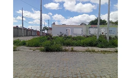 Lot viana moura inhumas