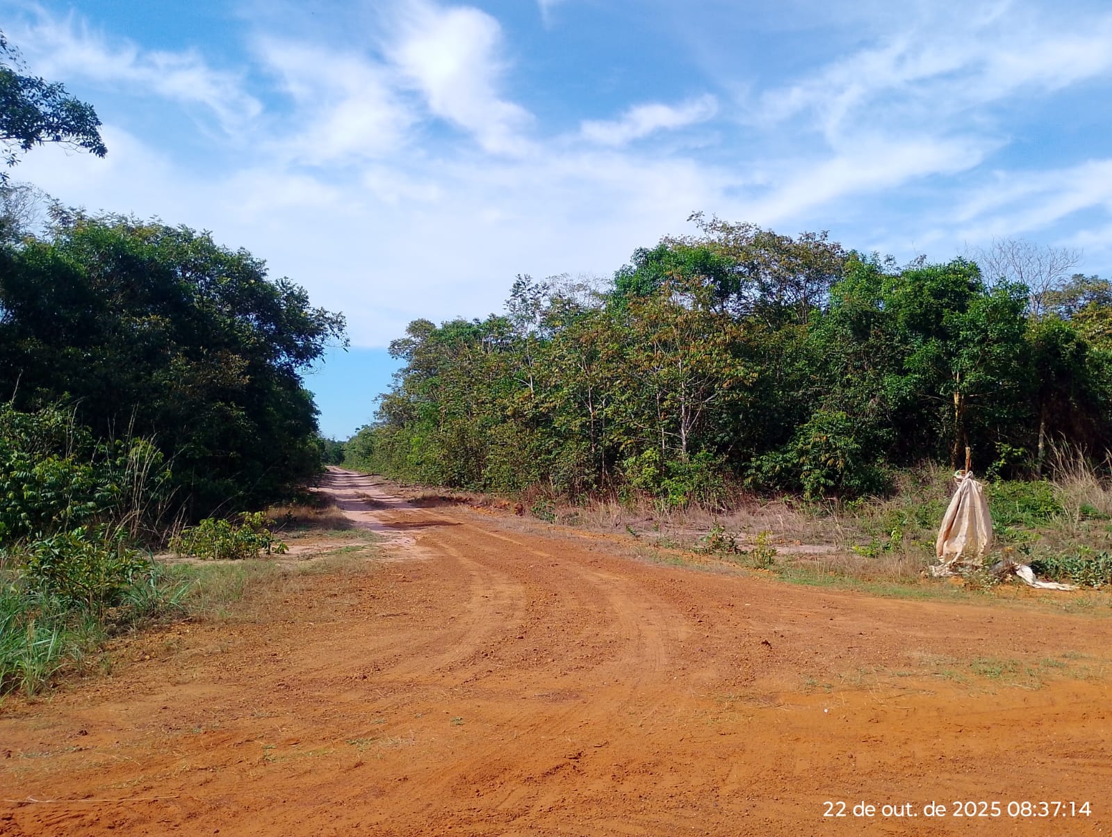 Venda com locação simultânea