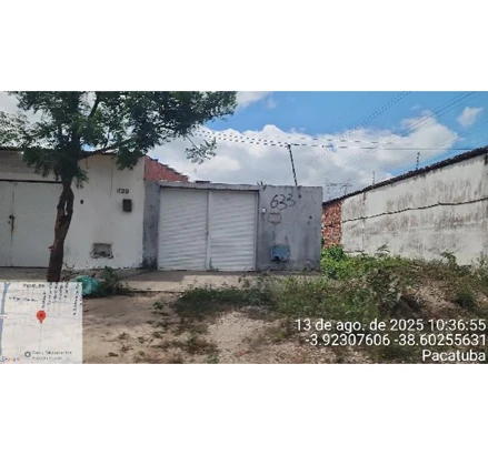 Pacatuba - pavuna