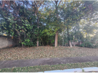 Setor Habitacional Tororó - LOTE 5, Travessa Ipê Roxo