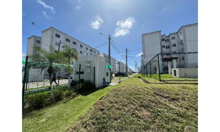 Viver salvador