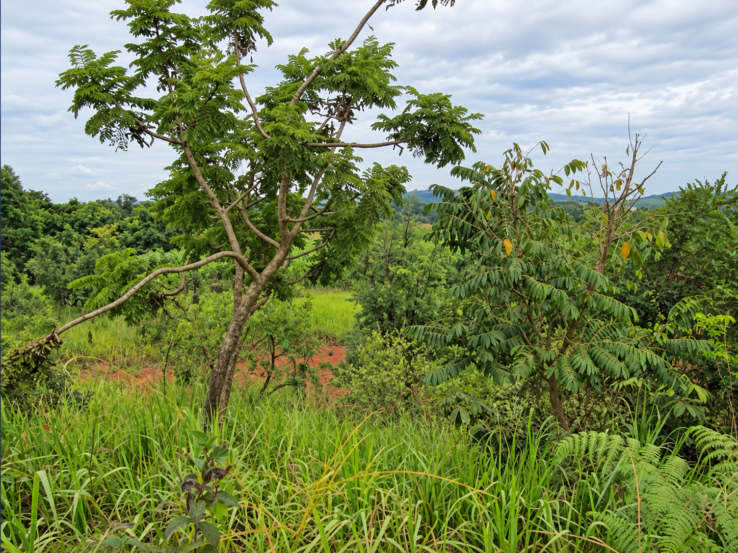 Terreno, 12.660,00m², jd. portal da colina, cabreúva/sp