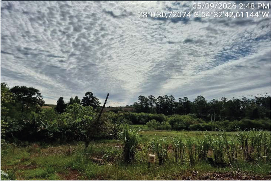 ÁREA RURAL C / 5 HA - SENADOR SALGADO FILHO / RS - Renovar Leilões - Corrêa e Alegranzzi LTDA