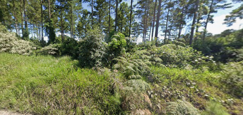 FAZENDAS EM LEILÃO - Lote 151 (ID 4303)