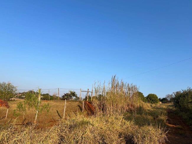 Vara do trabalho de campo mourão