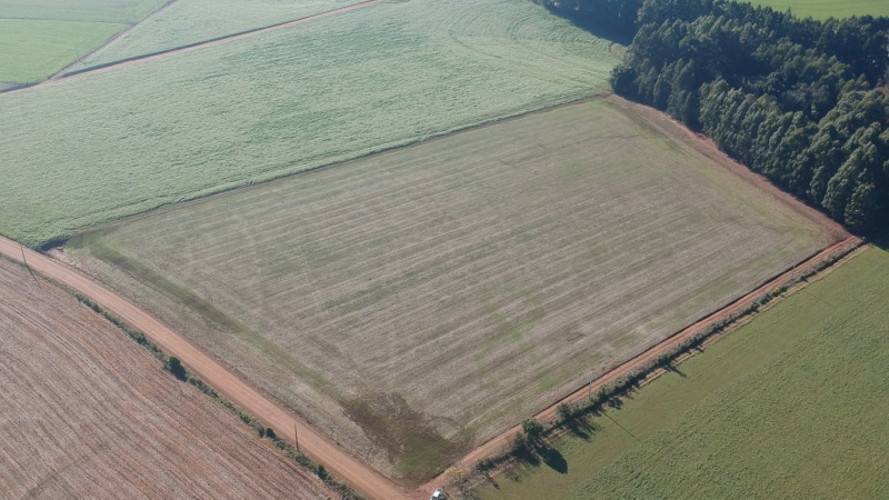 Justiça Estadual - Lote 703 (ID 39683)