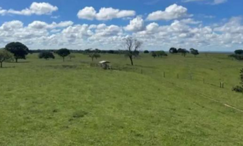 Imóvel em São Gonçalo do Abaeté/MG