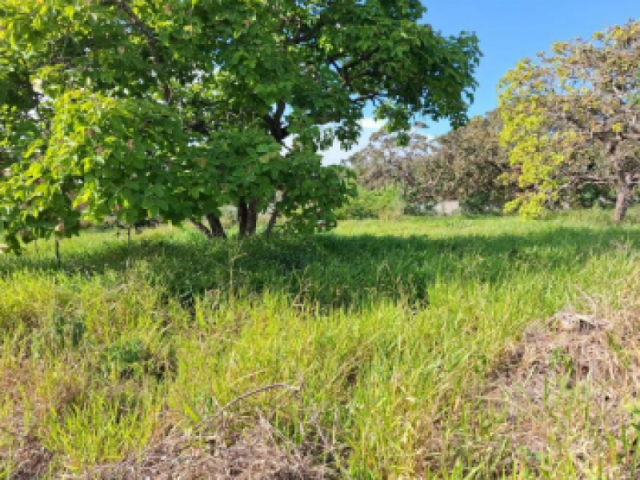 Lote a.t. 972,09 m² - santo antônio do monte/mg