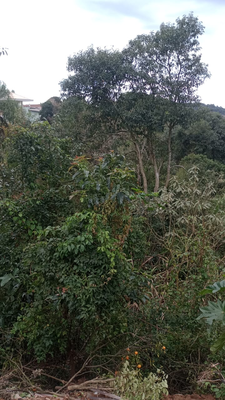 TERRENO URBANO DE 360M²