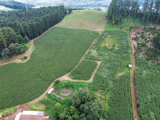 Terreno - Jaborá/SC