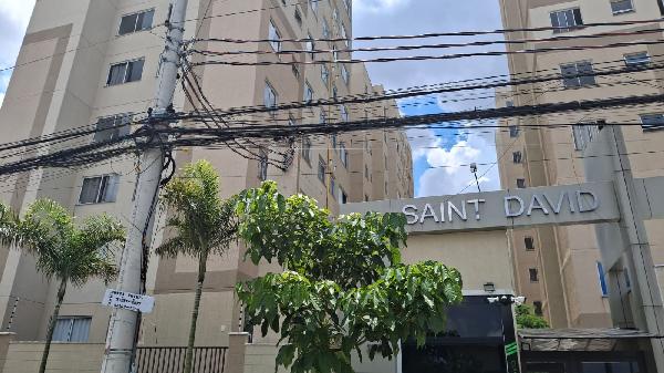 Saint david