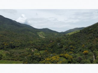 Terreno Rural em Morro Grande