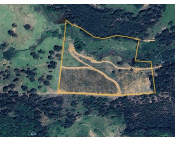 Mantenópolis/es -terreno rural com 51.285m² no córrego do indaiá sítio/ chácara em leilão | mgl leilões