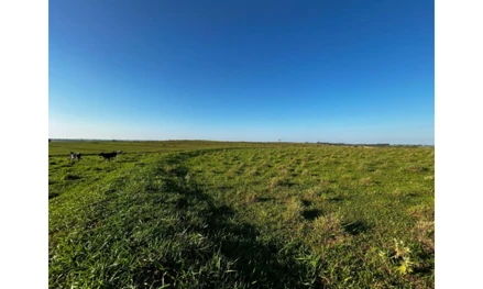 Imóvel Rural em Leilão em Lucélia / SP - 2627928