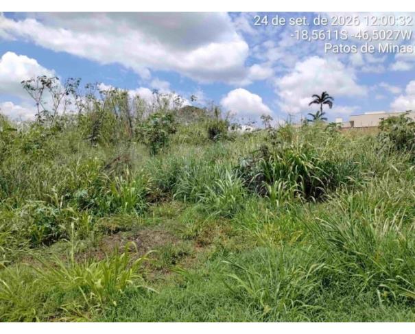 Patos de minas/mg - lote urbano com área de 4.523,46 m², localizado no bairro altos dos caiçadas lote em leilão | mgl leilões