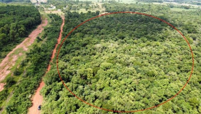 Parte Ideal sobre Imóvel Rural com 9 ha (Sítio Nossa Senhora Aparecida) - Assis - SP