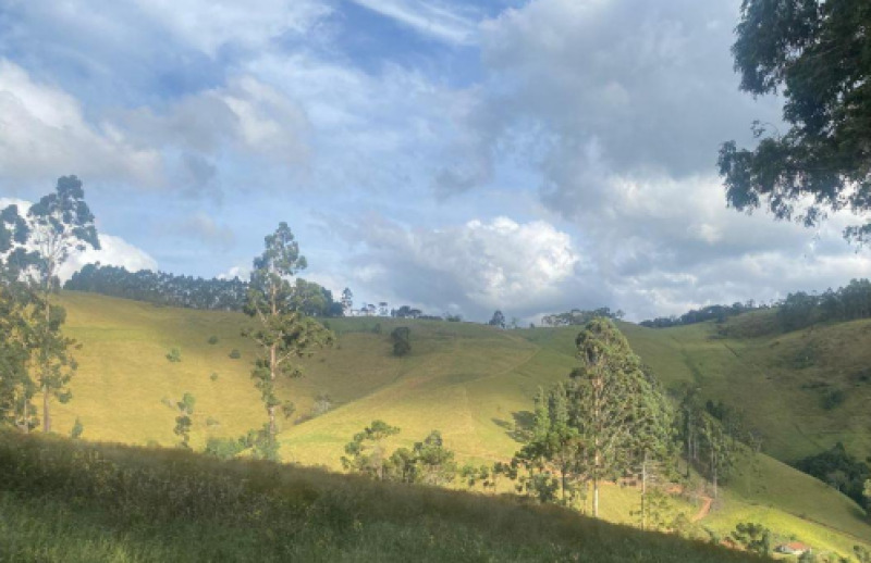 TERRENOS RURAIS EM CAMANDUCAIA/MG E PEDRAS PRECIOSAS - Lote 001-2 (ID 27875)