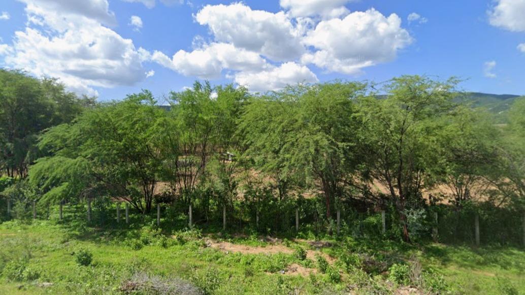 Propriedade agrícola denominada baraúna, possuí 4 açudes, 03 casas, a maior parcela do imóvel é formado por serras, com terras pouco férteis, localizada no município de areia de baraúnas/pb. área total de 1007,8 hectares