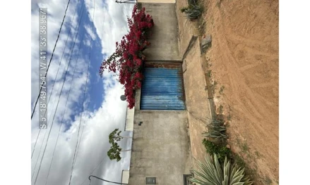 Lot sao camilo